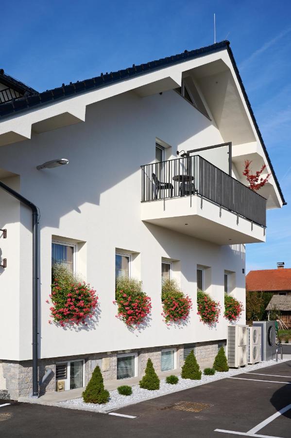 Hisa Ancka, Sencur - 3 Min To The Airport Hotel Екстериор снимка